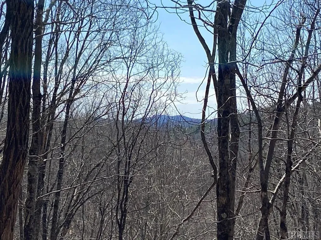 Lot 6 Mane Glenville NC 28736