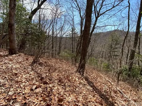 Lot 6 Mane Glenville NC 28736