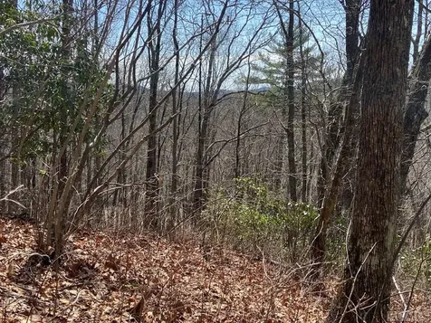Lot 6 Mane Glenville NC 28736
