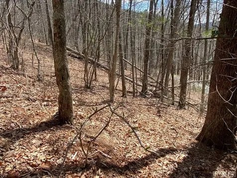 Lot 6 Mane Glenville NC 28736