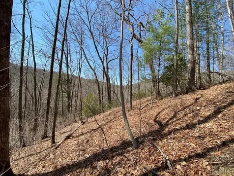 Lot 6 Mane Glenville NC 28736