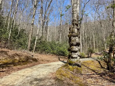 Lot 6 Mane Glenville NC 28736