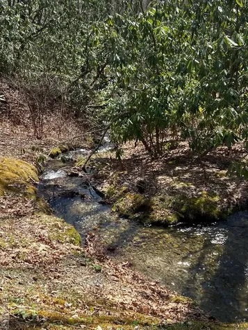 Lot 6 Mane Glenville NC 28736