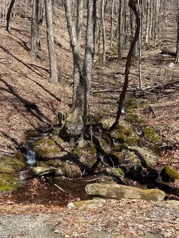 Lot 6 Mane Glenville NC 28736