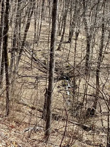 Lot 6 Mane Glenville NC 28736