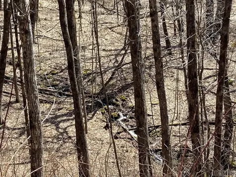 Lot 6 Mane Glenville NC 28736