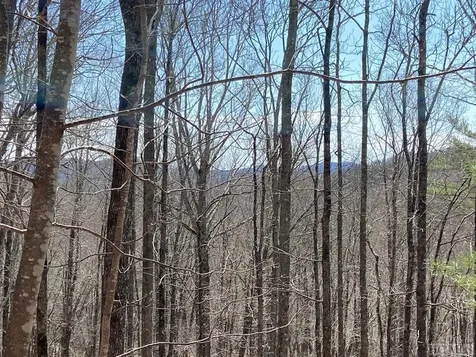 Lot 6 Mane Glenville NC 28736