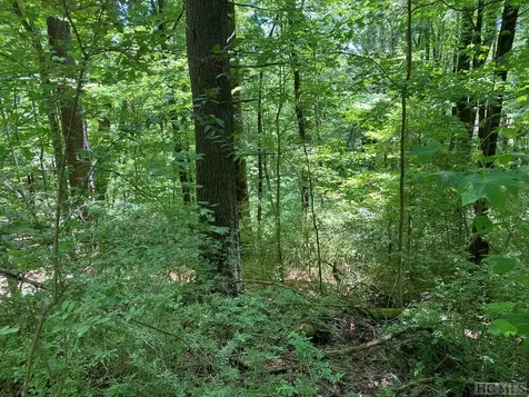 Tbd Harbison Orchard Road Highlands NC 28741