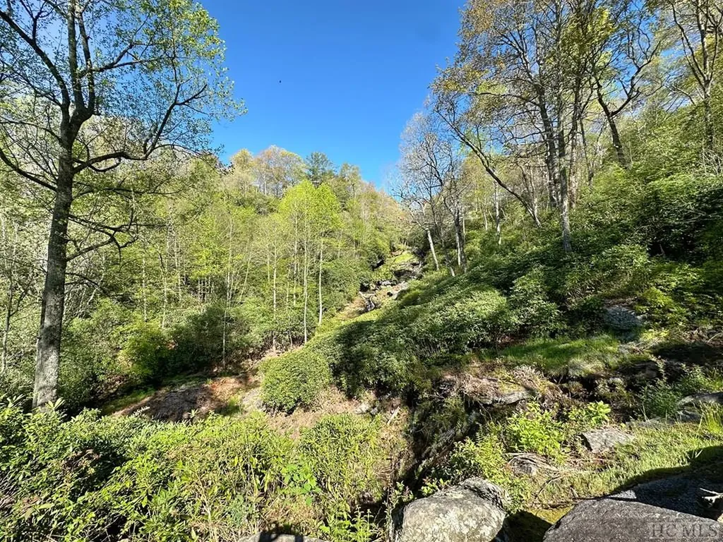 C1 Falling Water Drive Highlands NC 28741