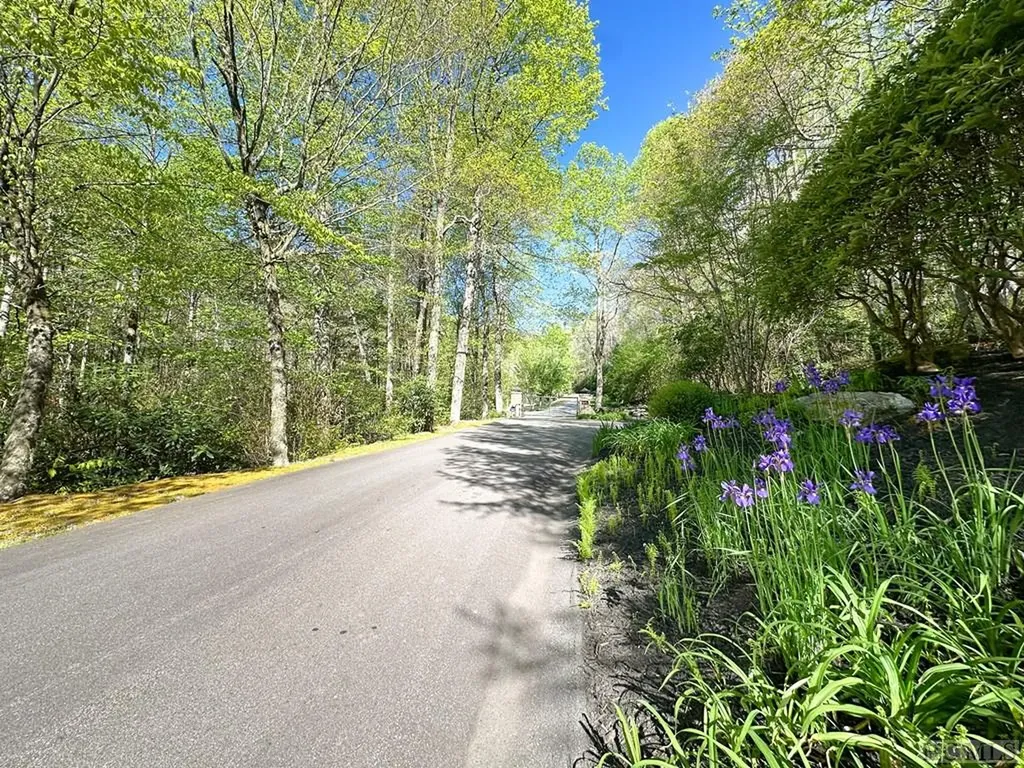 C1 Falling Water Drive Highlands NC 28741