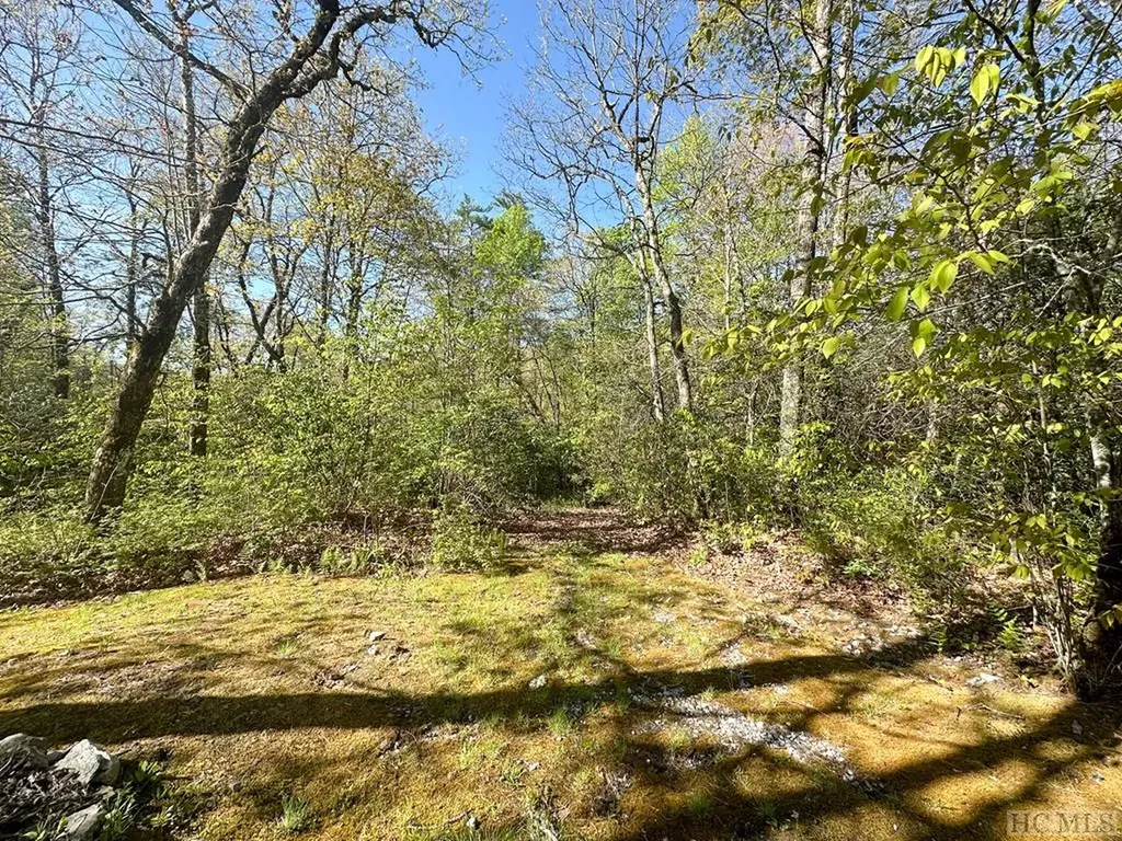 C1 Falling Water Drive Highlands NC 28741