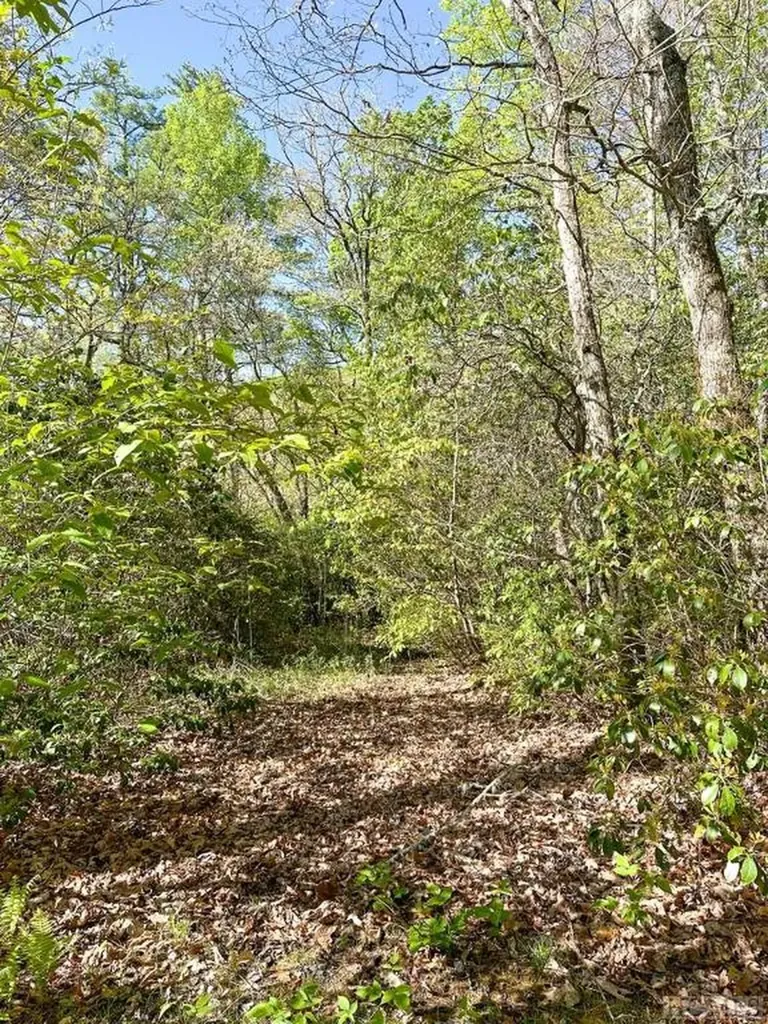 C1 Falling Water Drive Highlands NC 28741