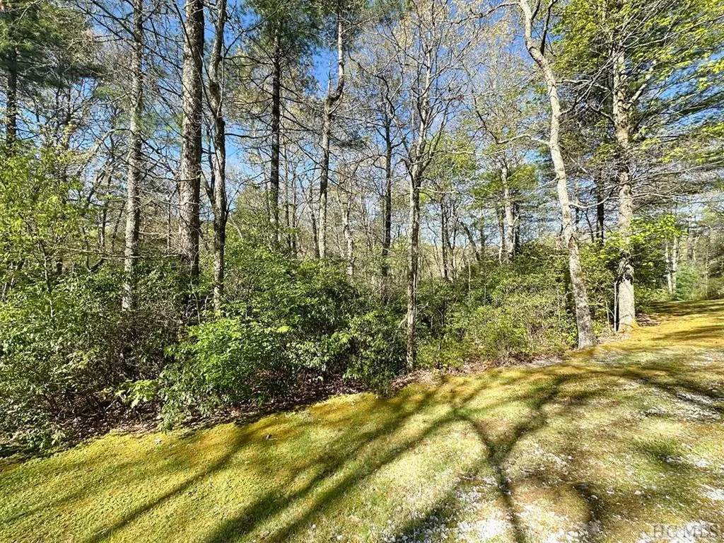 C1 Falling Water Drive Highlands NC 28741