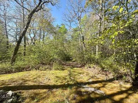 C1 Falling Water Drive Highlands NC 28741