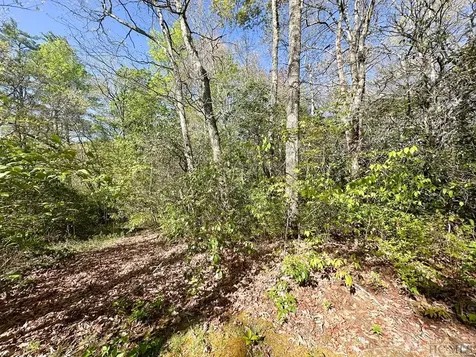 C1 Falling Water Drive Highlands NC 28741