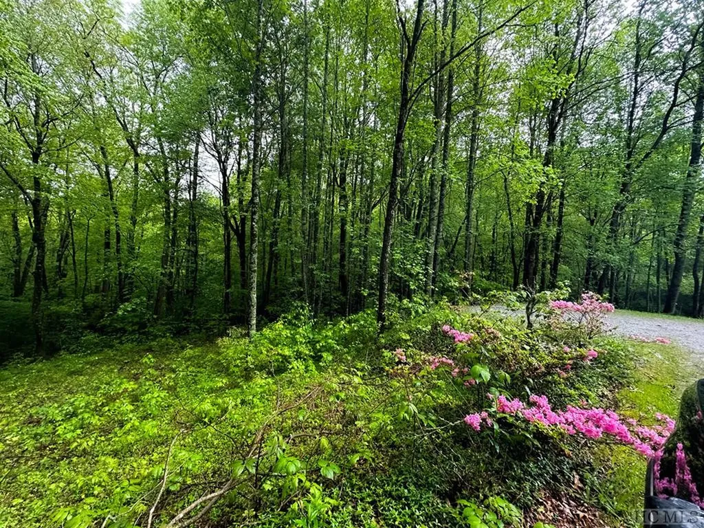 Tbd Miller Road Scaly Mountain NC 28775