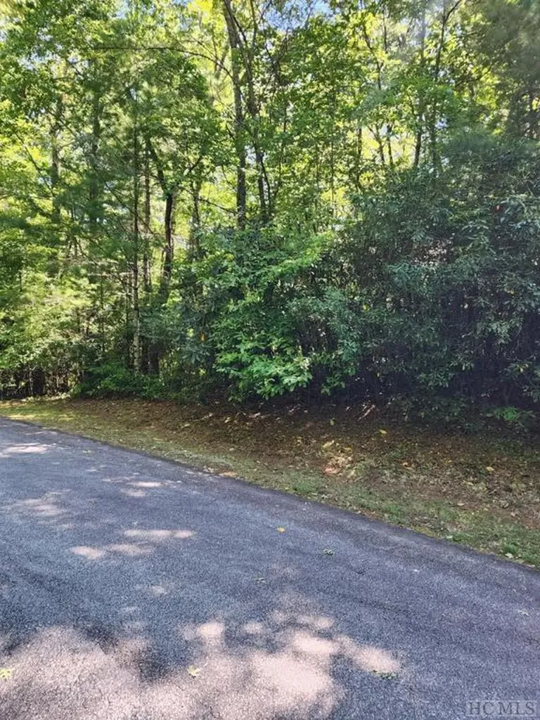 Lot 49b Big Pine Road Sapphire NC 28774