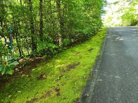 Lot 49b Big Pine Road Sapphire NC 28774