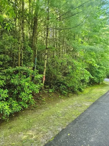 Lot 49b Big Pine Road Sapphire NC 28774