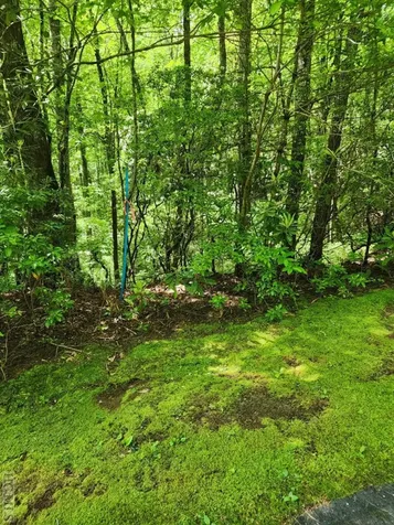 Lot 49b Big Pine Road Sapphire NC 28774