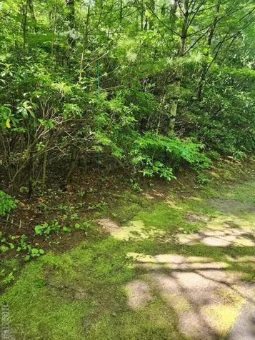 Lot 49b Big Pine Road Sapphire NC 28774