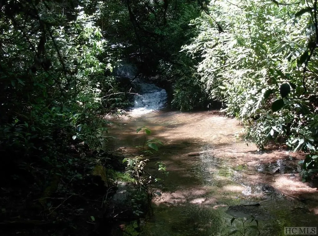 Lot 210 Wild Berry Court Sapphire NC 28774