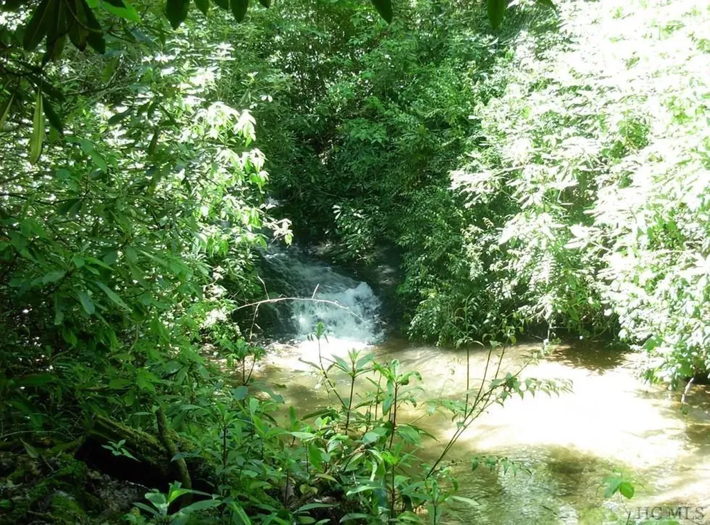 Lot 210 Wild Berry Court Sapphire NC 28774