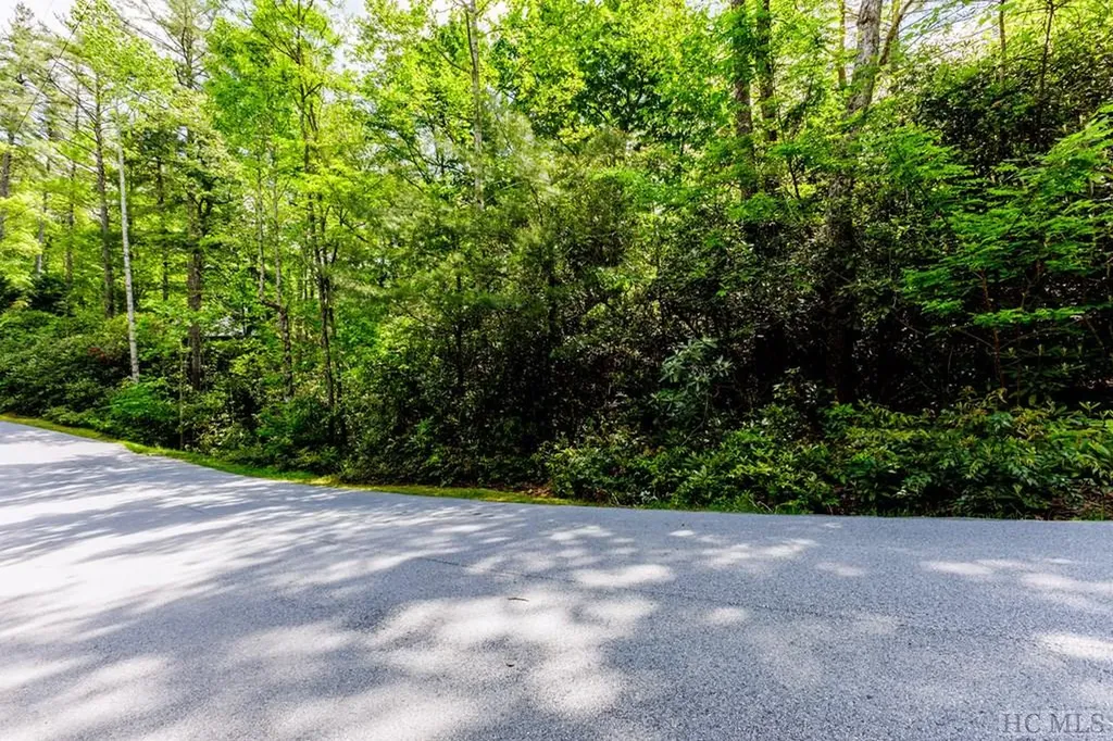 Lot 210 Wild Berry Court Sapphire NC 28774