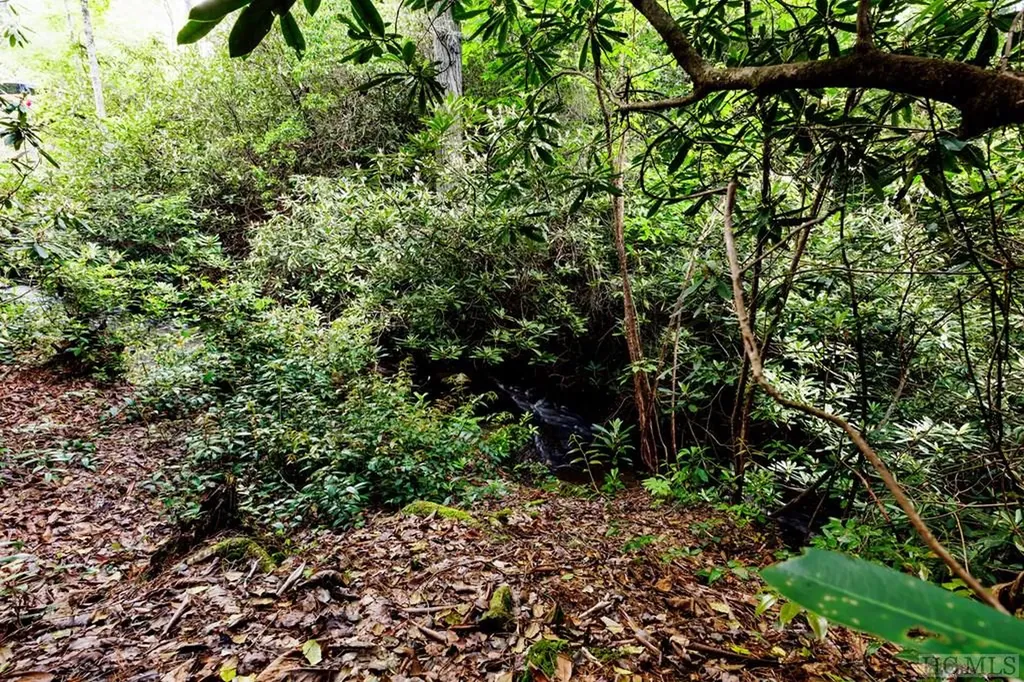 Lot 210 Wild Berry Court Sapphire NC 28774