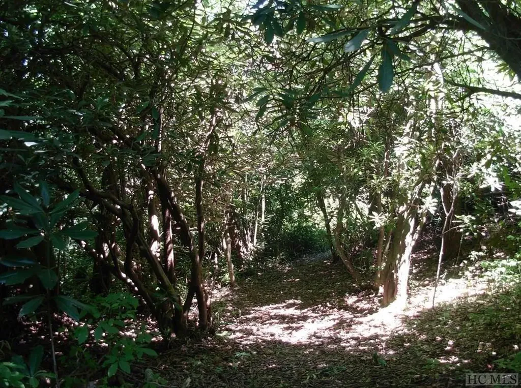 Lot 210 Wild Berry Court Sapphire NC 28774