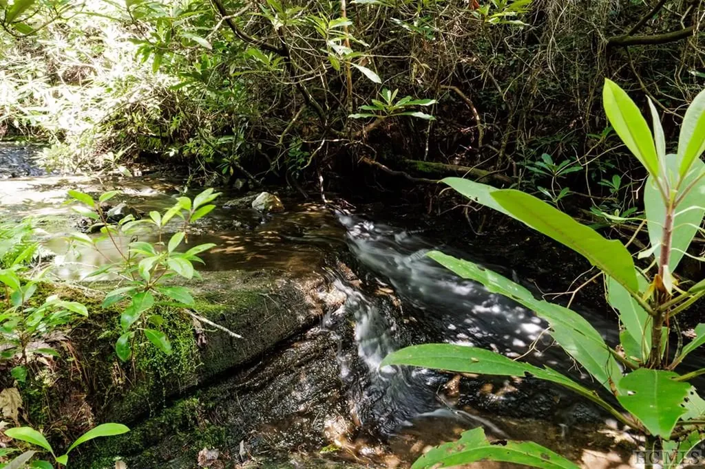 Lot 210 Wild Berry Court Sapphire NC 28774