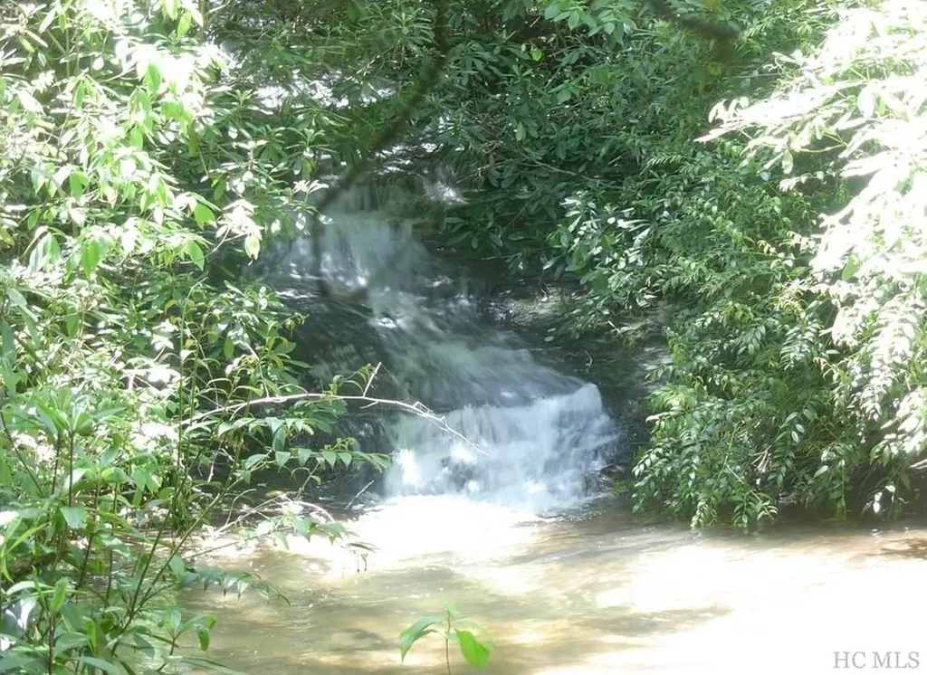 Lot 210 Wild Berry Court Sapphire NC 28774