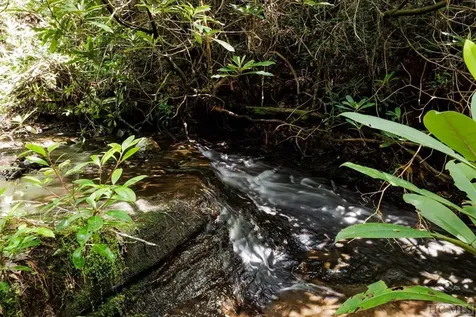 Lot 210 Wild Berry Court Sapphire NC 28774