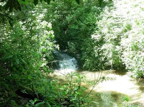 Lot 210 Wild Berry Court Sapphire NC 28774