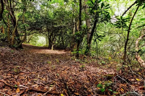 Lot 210 Wild Berry Court Sapphire NC 28774