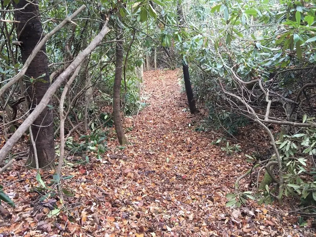 Lot 83 Fishing Village Lane Cullowhee NC 28723