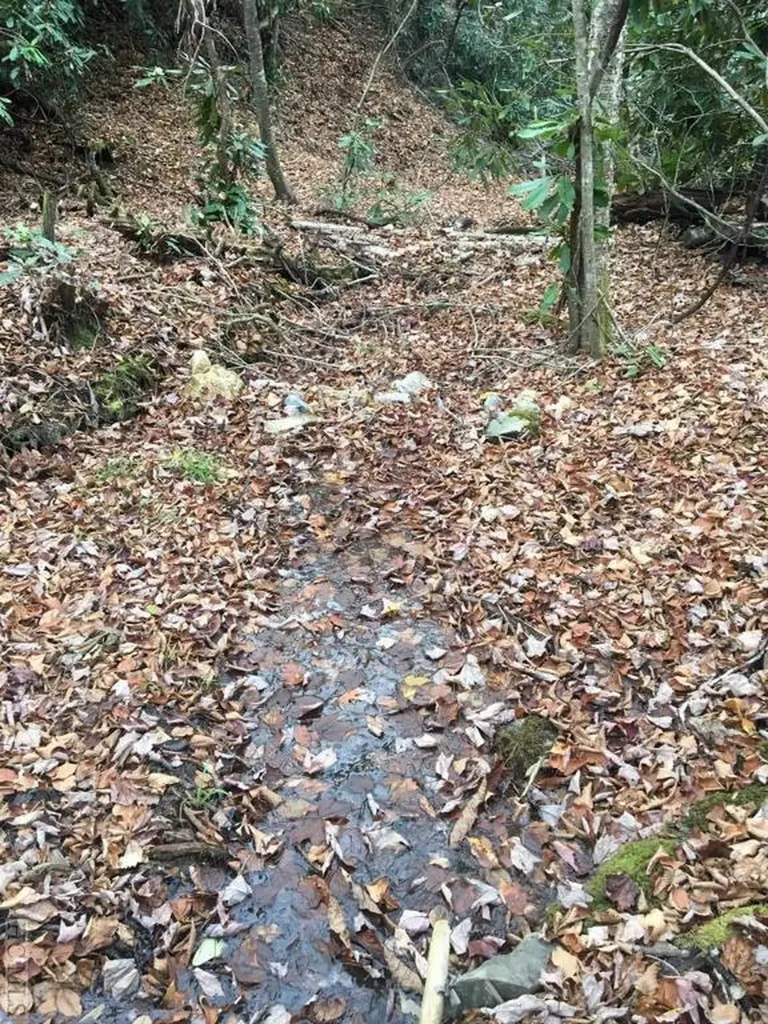 Lot 83 Fishing Village Lane Cullowhee NC 28723