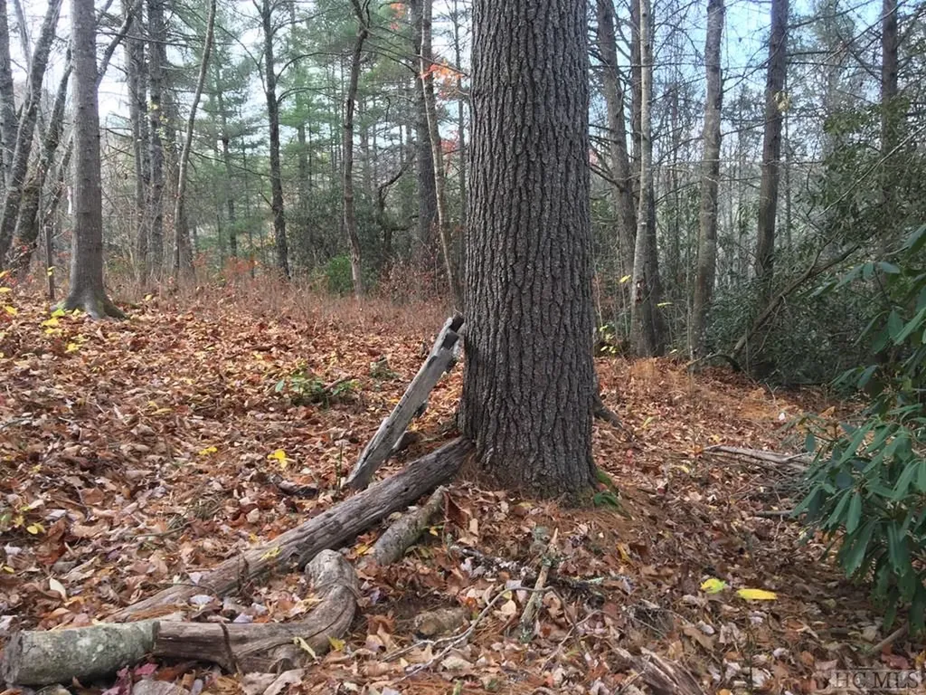 Lot 83 Fishing Village Lane Cullowhee NC 28723