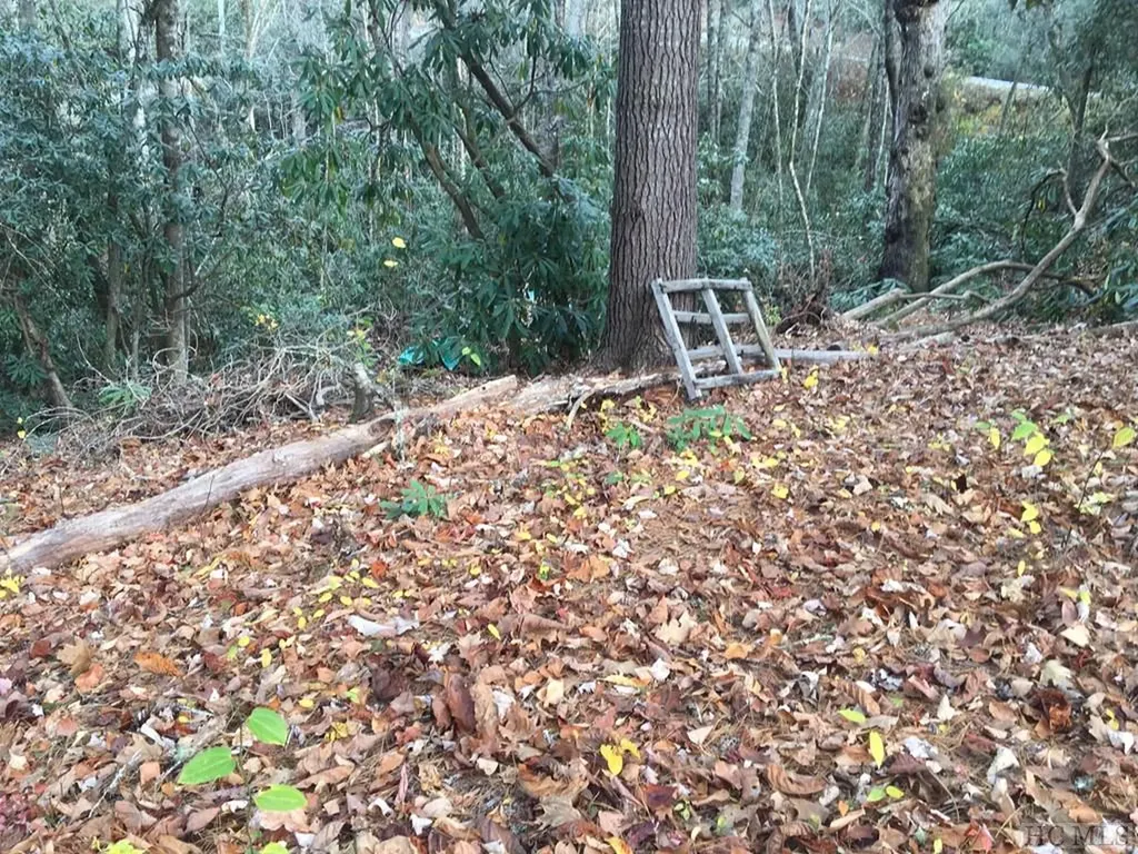 Lot 83 Fishing Village Lane Cullowhee NC 28723