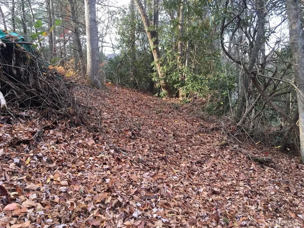 Lot 83 Fishing Village Lane Cullowhee NC 28723