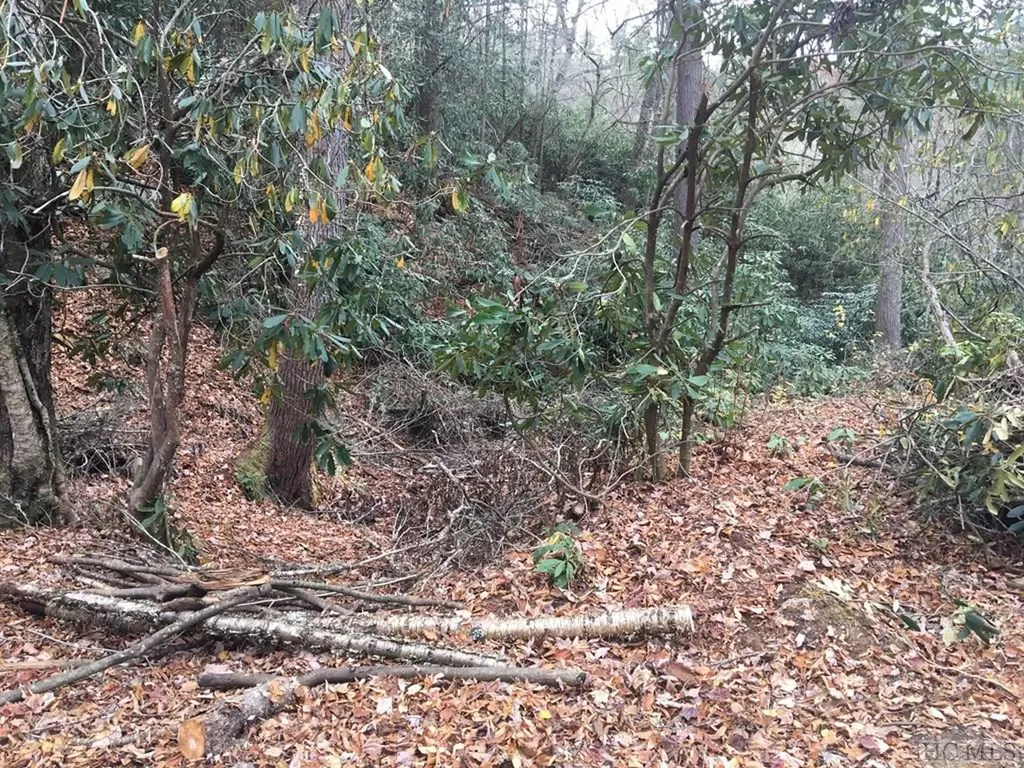 Lot 83 Fishing Village Lane Cullowhee NC 28723