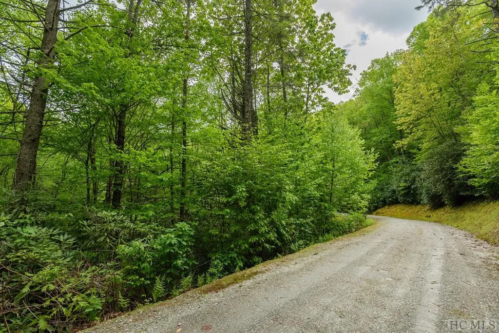 Lot 83 Fishing Village Lane Cullowhee NC 28723