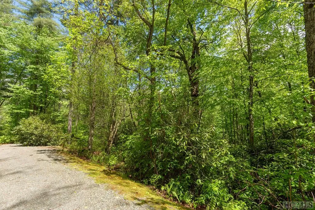 Lot 83 Fishing Village Lane Cullowhee NC 28723