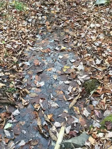 Lot 83 Fishing Village Lane Cullowhee NC 28723