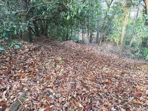 Lot 83 Fishing Village Lane Cullowhee NC 28723