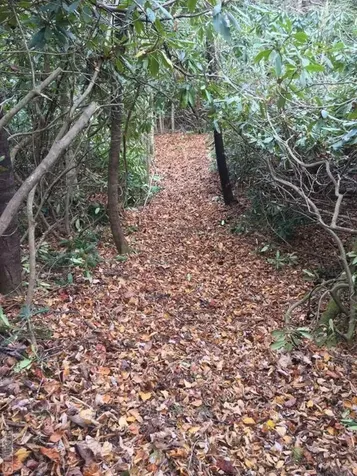 Lot 83 Fishing Village Lane Cullowhee NC 28723