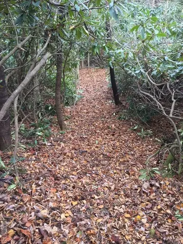 Lot 83 Fishing Village Lane Cullowhee NC 28723