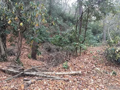 Lot 83 Fishing Village Lane Cullowhee NC 28723