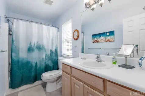 115 Juniper Court Sapphire NC 28774