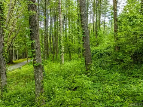 33 Compass Rose Way Cashiers NC 28736